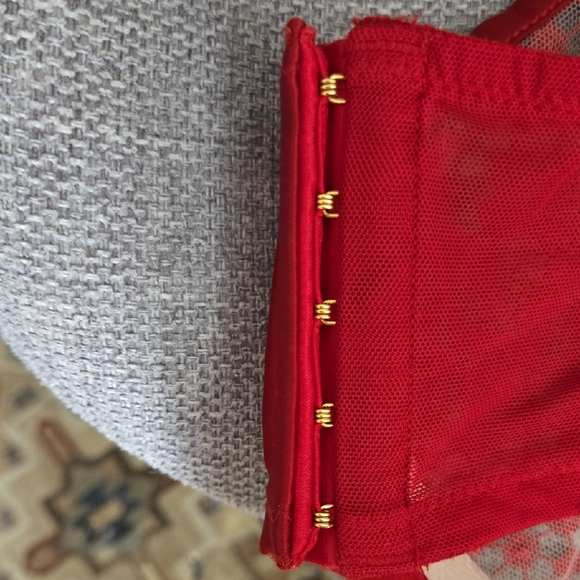 Victoria's Secret 38 DD Mesh Bra - Picture 3 of 6